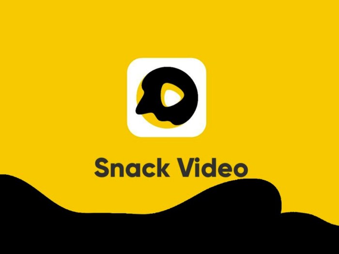 Snackvideo bangun desa digital untuk ajak pengguna jelajahi pesona budaya indonesia