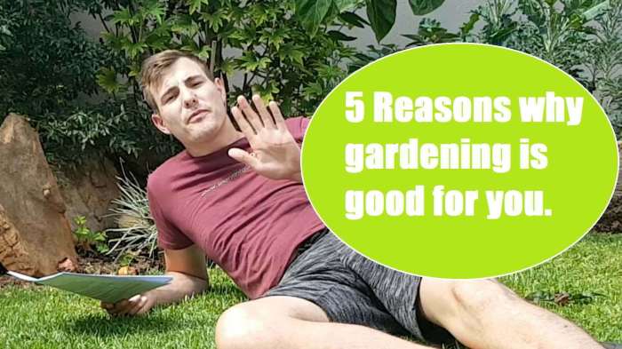 5 manfaat berkebun seperti yang dilakukan david beckham