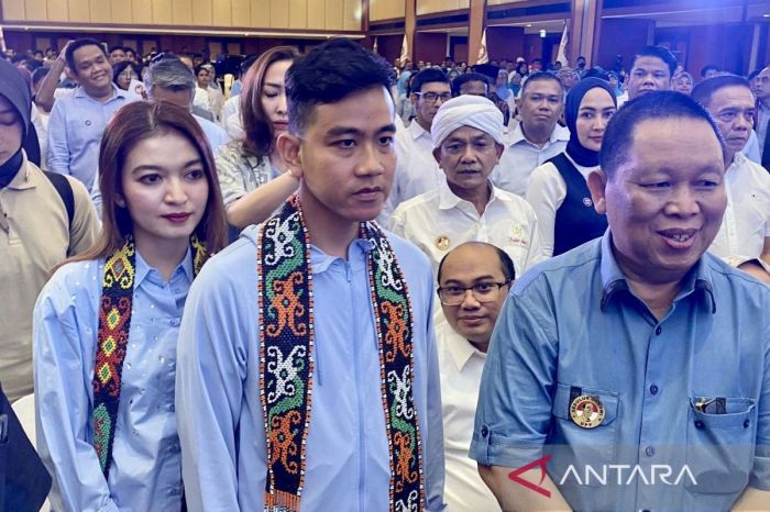 Npwp jokowi gibran dan 6 juta data pajak warga ri dijual di internet