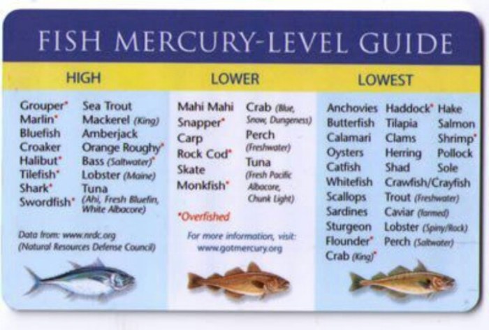 Mercury fish levels guide chart level environment get pellets shift crab found nutrient mood improves lowers protects inflammation essential brain