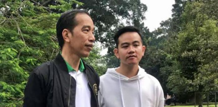 Npwp jokowi gibran dan 6 juta data pajak warga ri dijual di internet