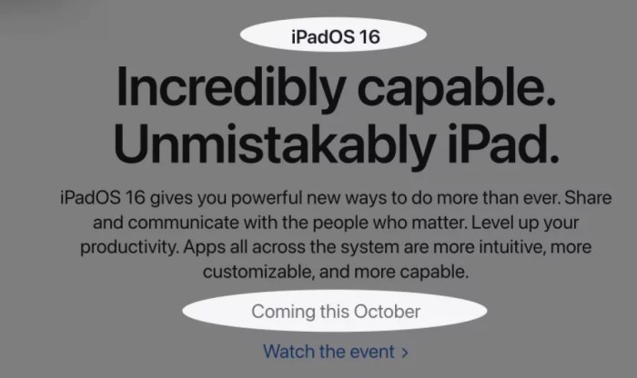 Pemilik ipad jangan dulu update ke ipados 18 layar bisa error