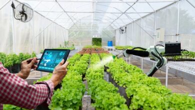 Id food terapkan smart farming untuk perkuat ketahanan pangan nasional