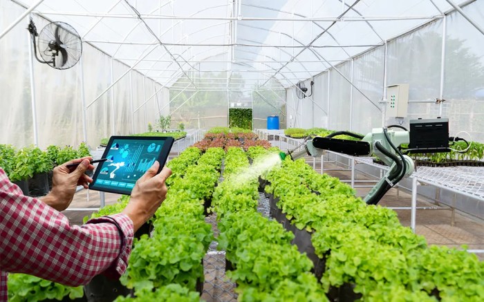 Id food terapkan smart farming untuk perkuat ketahanan pangan nasional