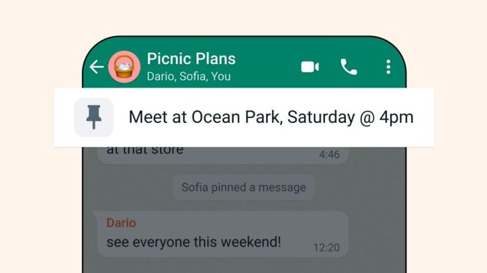 Whatsapp kini bisa atur kontak favorit permudah akses ke orang penting