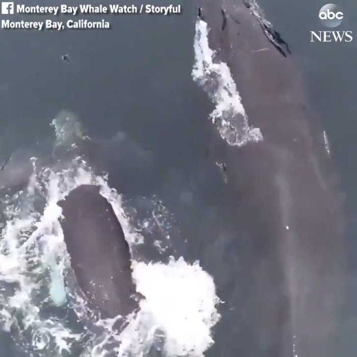 Tak cuma produktivitas poco pad diklaim terbaik untuk aktivitas gaming