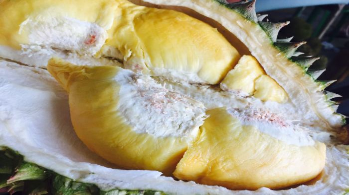 Musim durian sebentar lagi benarkah king of fruit pemicu kolesterol