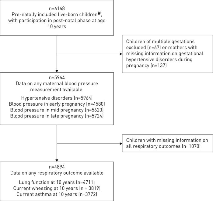 Pregnancy hypertensive disorders maternal cardiovascular