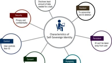 Digital identity blockchain decentralized ssi self sovereign blockchains future explanation source simple medium