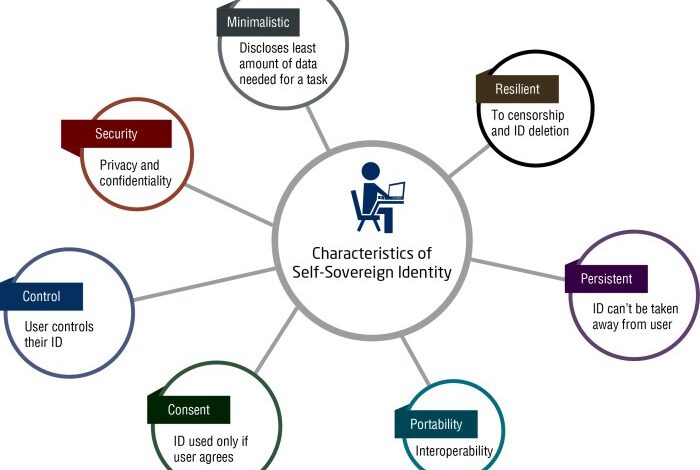 Digital identity blockchain decentralized ssi self sovereign blockchains future explanation source simple medium