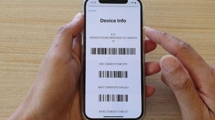 Mau beli iphone 16 di luar negeri berapa biaya daftar imei nya