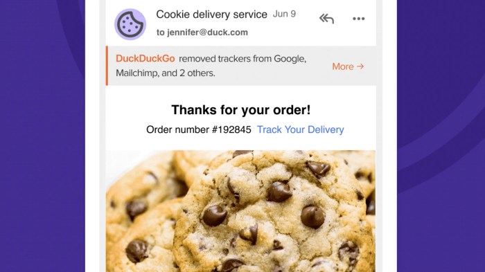Ini kelebihan dan kekurangan duckduckgo yang diblokir kominfo dianggap bisa akses judi online