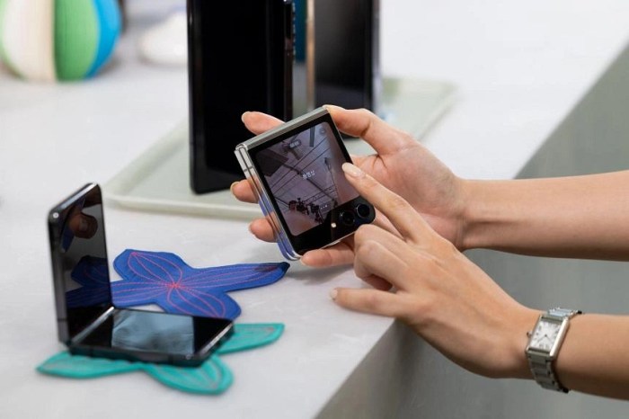 Foldable yasir zeb months