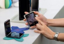 Foldable yasir zeb months