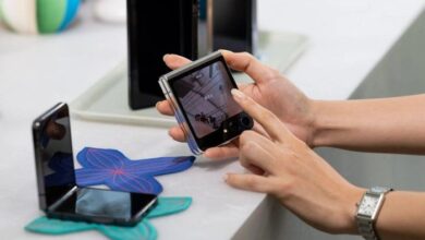 Foldable yasir zeb months